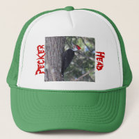 Pivert de Pileated