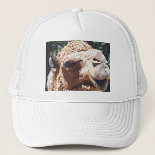 Casquette Plan rapproché de visage de chameau de bosse du