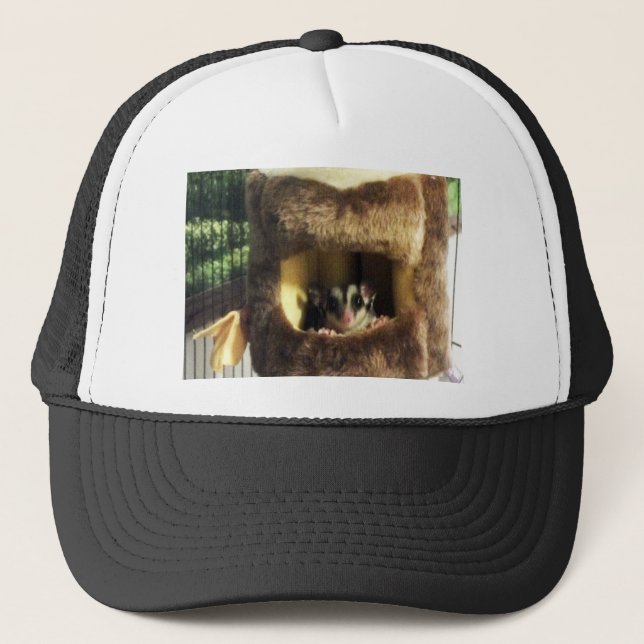 Casquette Planeur à sucre dans le fourrure Truck Hanging Lit (Devant)