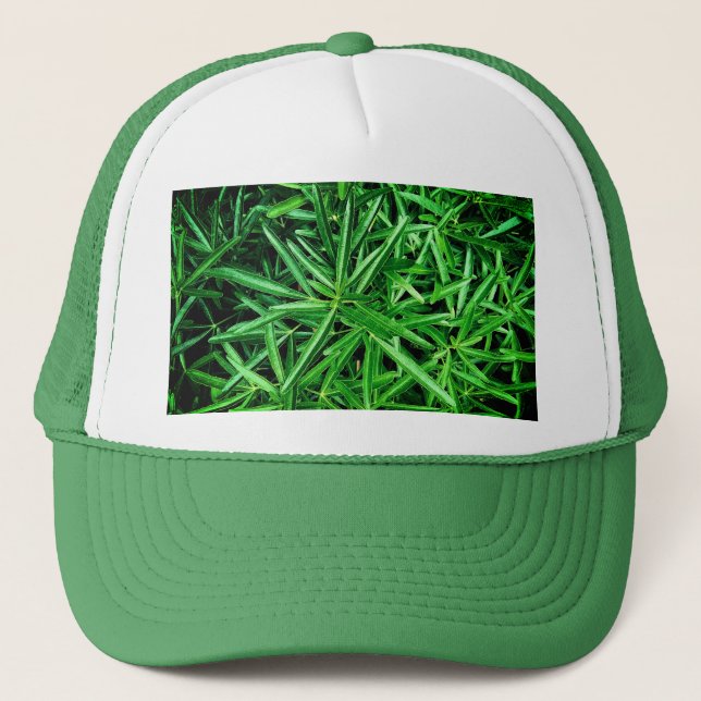 Casquette Plante vert (Devant)