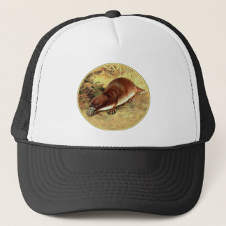 Casquette Platype