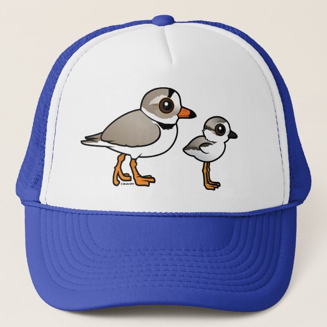 Casquette Pluvier sifflant avec le poussin (Devant)