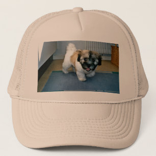 Casquette Png