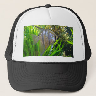 Casquette Poisson Angel