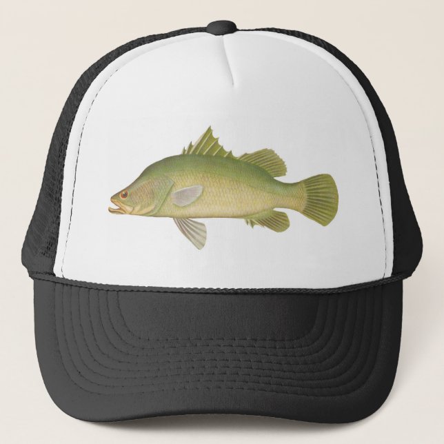 Casquette Poisson - Barramundi - Calcarifer tardif (Devant)
