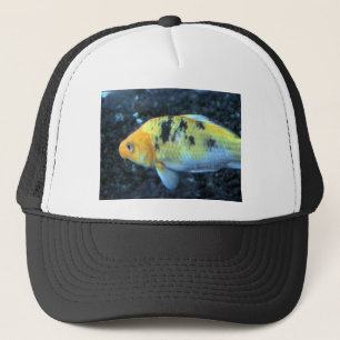 Casquette Poisson d'or tacheté