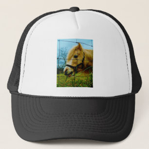 Casquette Pony miniature blond / Cheval Ciel bleu