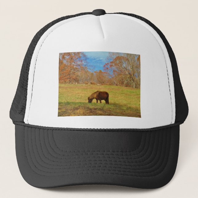 Casquette Pony miniature Brown (Devant)