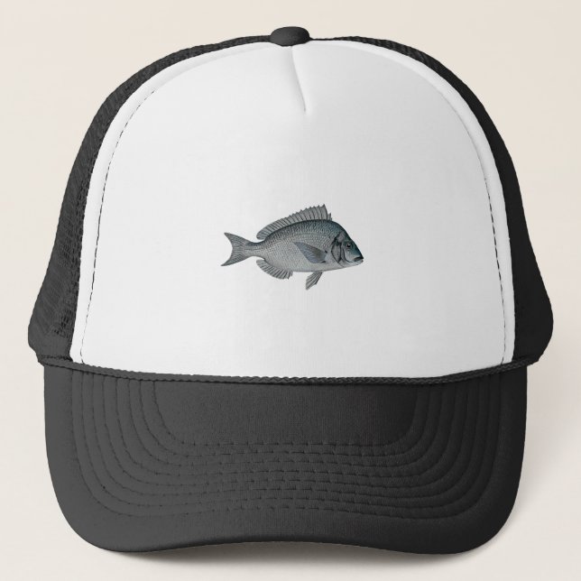 Casquette Porgy - Scup (Devant)
