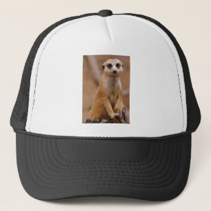 Casquette Pose de Meerkat