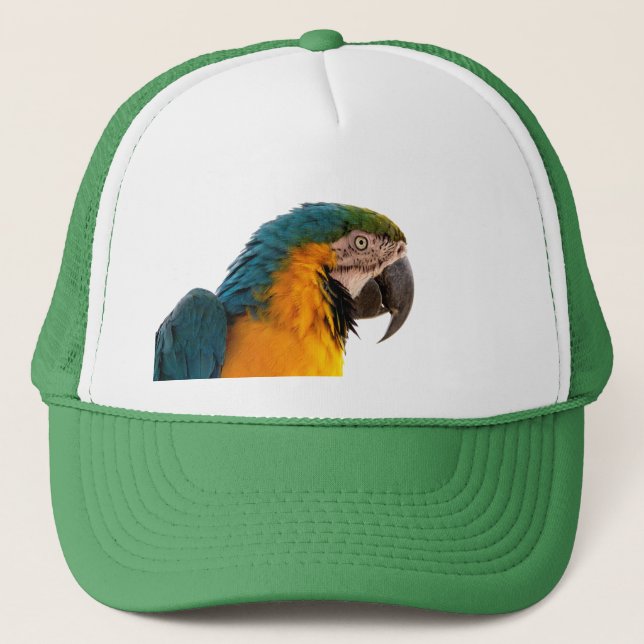Casquette Post-it Notes perroquet (Devant)
