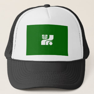 Casquette préfecture tochigi de drapeau de région de pays