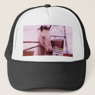 Casquette Propriété privée lavender Horse