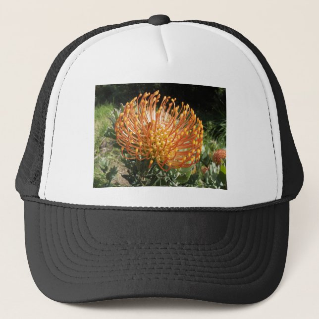 Casquette protéa (Devant)