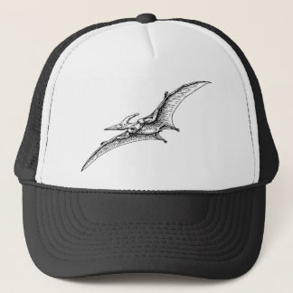 Casquette Ptérodactyle
