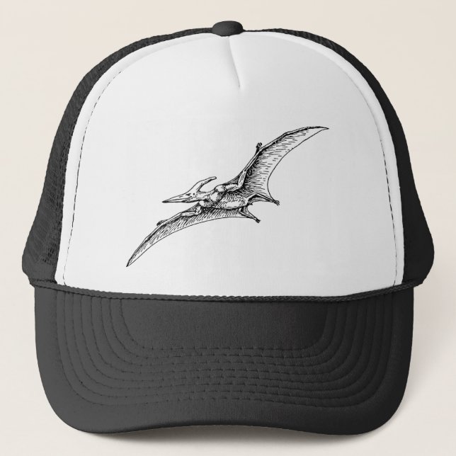 Casquette Ptérodactyle (Devant)