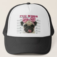 Pug