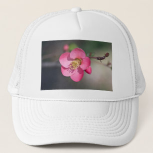 Casquette Quince à fleurs roses parfaite
