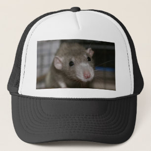 Casquette Rat curieux