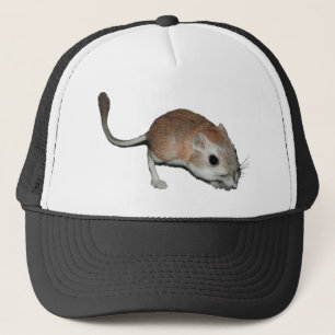 Casquette Rat de kangourou