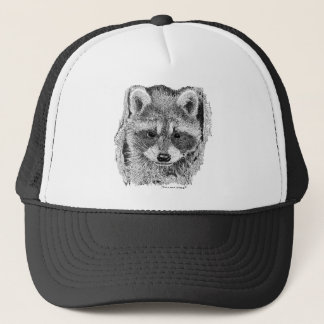 Casquette Raton laveur