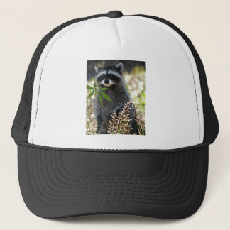 CASQUETTE RATON LAVEUR HEUREUX
