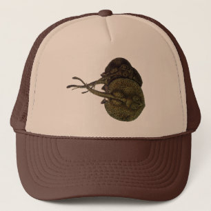 Casquette Rayons vintages, Animaux de la vie marine