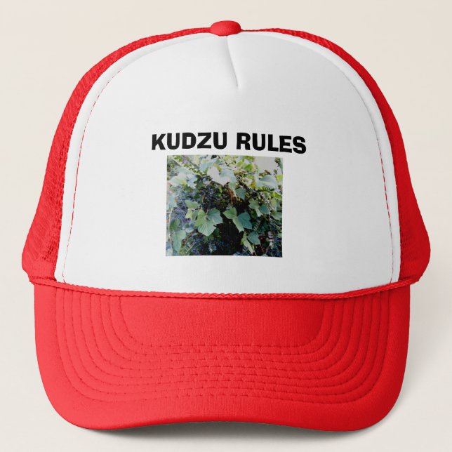 CASQUETTE RÈGLES DE KUDZU (Devant)
