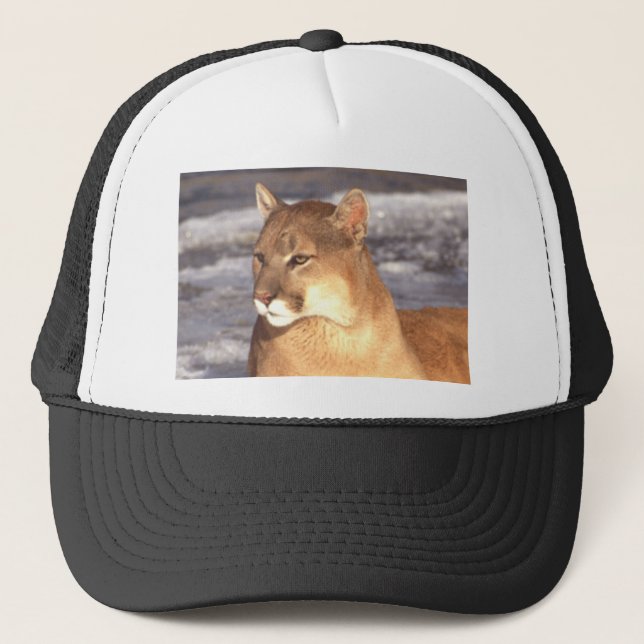 Casquette Repos de puma (Devant)