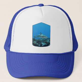 Casquette Requin à pointe noire, île Yap - Conception photog