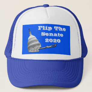 Casquette Retourner Le Vote Du Sénat Bleu 2020