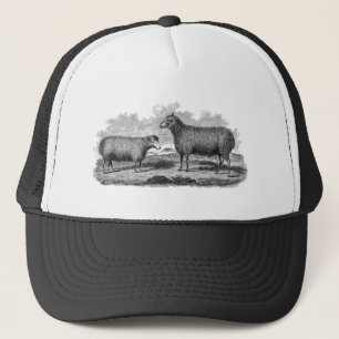 Casquette Rétro ferme de 1800s de moutons d'illustration