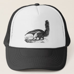 Casquette Rétro modèle de mangeur de fourmi d'oryctérope