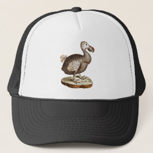 Casquette Rétros 1700s d'oiseaux de drontes d'oiseau vintage