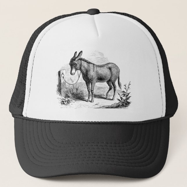 Casquette Rétros ânes personnalisés par âne domestique (Devant)