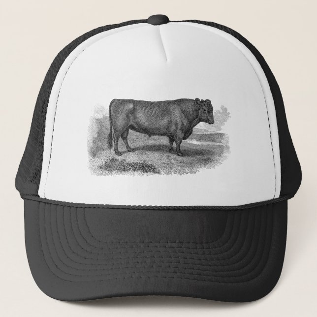 Casquette Rétros taureaux de vache de 1800s à illustration (Devant)