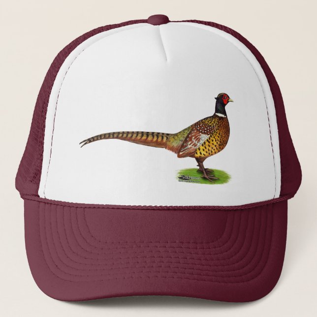 Casquette Ringneck Pheasant Rooster (Devant)
