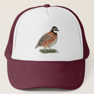 Casquette Rooster Bobwhite Quail