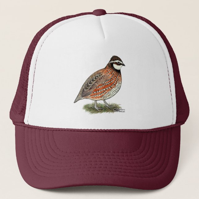 Casquette Rooster Bobwhite Quail (Devant)