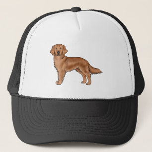 Casquette Rouge Acajou Chien de race Golden Retriever Mignon