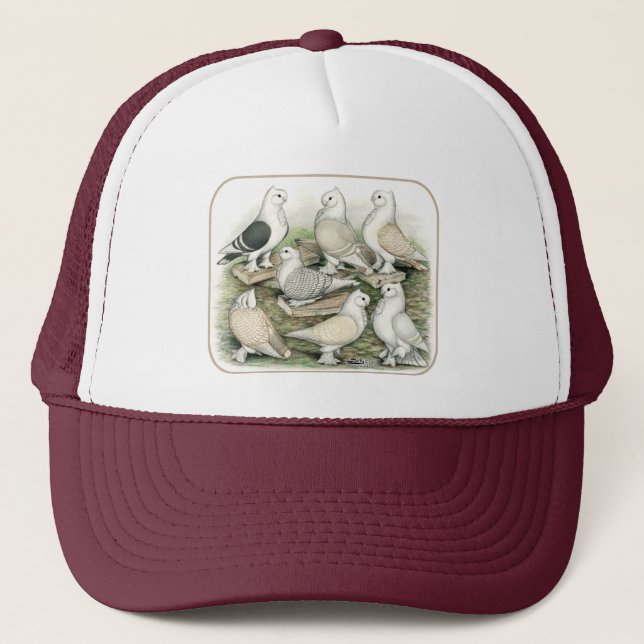 Casquette Satinettes de pigeons de frill classique (Devant)