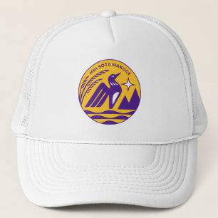 Casquette Sceau d'état du Minnesota dans les couleurs des Vi