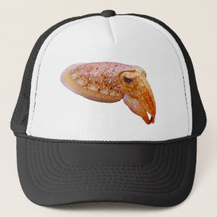 Casquette Seiches câlines