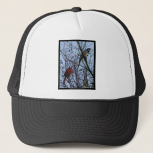 Casquette Sentinels Blue Jay et Cardinal par Lee Hiller