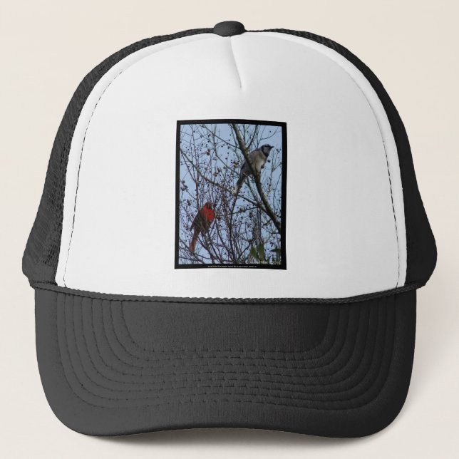 Casquette Sentinels Blue Jay et Cardinal par Lee Hiller (Devant)
