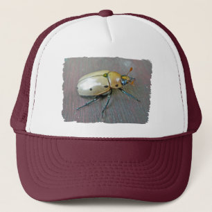 Casquette Série du dendroctone du pin (Pelidnota punctata)