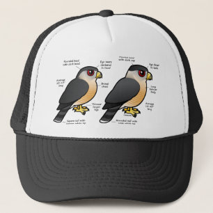 Casquette Sharpie de la cage v