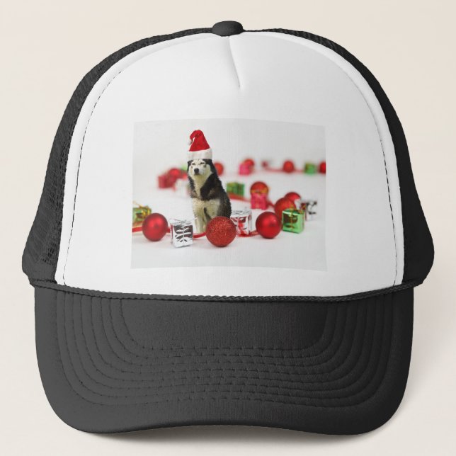 Casquette Sibérie Husky Noël avec boîte cadeau ornement (Devant)
