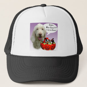 Casquette Spinone Italiano Halloween Candy