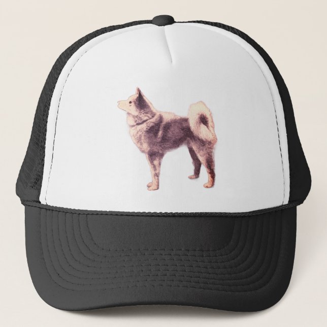 Casquette Spitz finlandais - photo vintage (Devant)